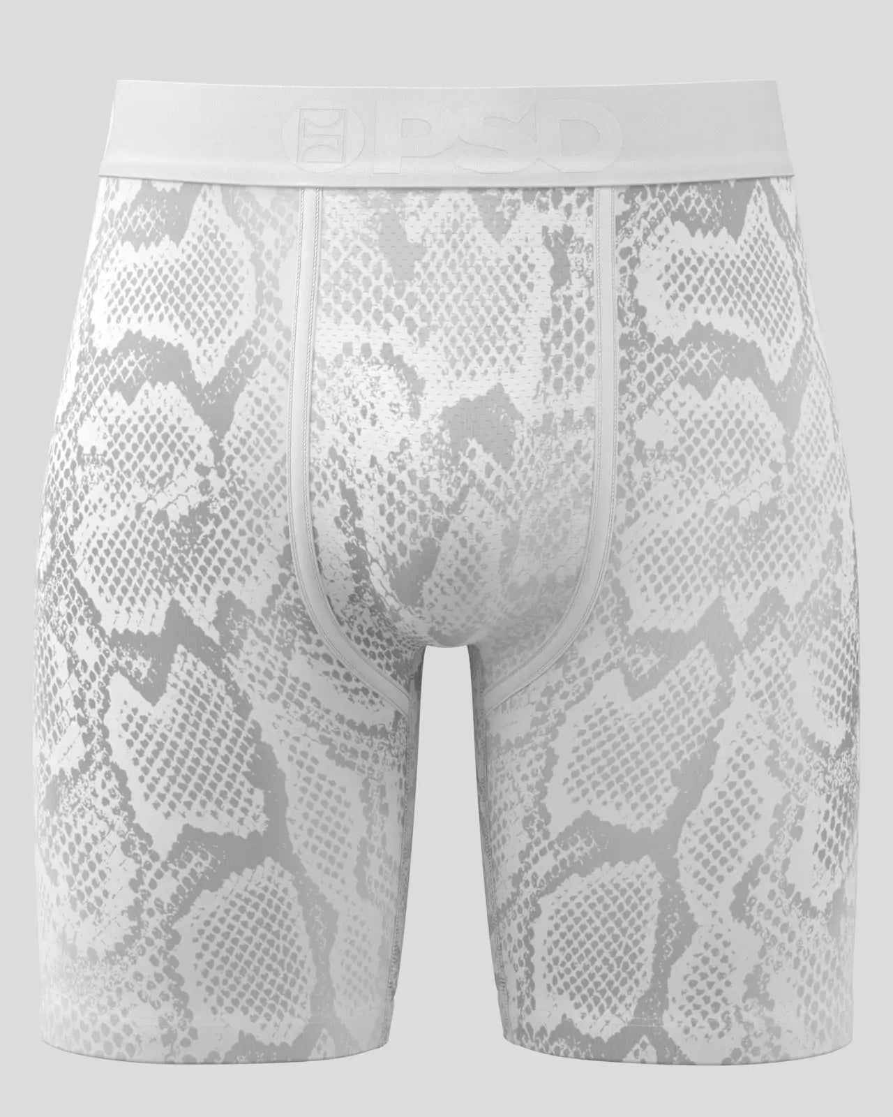 SILVER SNAKE - Image 2